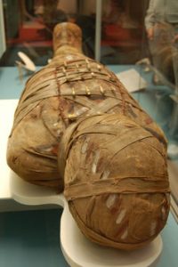 Gummy Mummies: Ancient Egyptians Used a Millennia-Old Prehistoric Embalming Recipe 19 Gummy Mummies: Ancient Egyptians Used a Millennia-Old Prehistoric Embalming Recipe