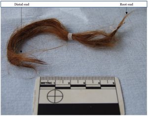 Archaeologies of Hair: The Head and Its Grooming from Ancient to  Contemporary Societies - Brewminate: A Bold Blend of News and Ideas