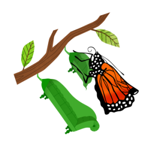 How Should You Grieve? 26 How Should You Grieve?