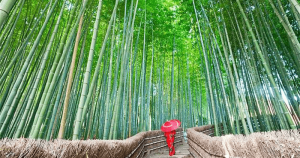 A Japanese Technique for Overcoming Laziness 25 A Japanese Technique for Overcoming Laziness