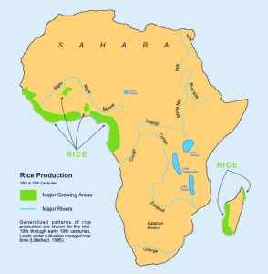 African Passages, Lowcountry Adaptations 402 African Passages, Lowcountry Adaptations