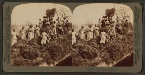 African Passages, Lowcountry Adaptations 409 African Passages, Lowcountry Adaptations