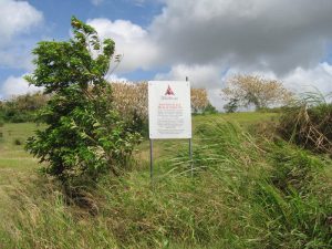 African Passages, Lowcountry Adaptations 415 African Passages, Lowcountry Adaptations