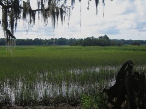 African Passages, Lowcountry Adaptations 421 African Passages, Lowcountry Adaptations