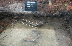 African Passages, Lowcountry Adaptations 427 African Passages, Lowcountry Adaptations