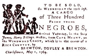 African Passages, Lowcountry Adaptations 428 African Passages, Lowcountry Adaptations