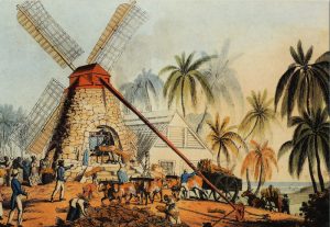 African Passages, Lowcountry Adaptations 332 African Passages, Lowcountry Adaptations