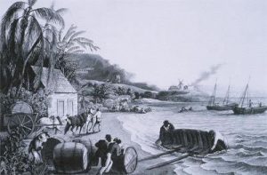 African Passages, Lowcountry Adaptations 334 African Passages, Lowcountry Adaptations