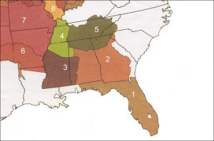 The Cherokee and the Trail of Tears 19 The Cherokee and the Trail of Tears