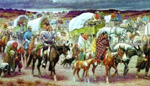 The Cherokee and the Trail of Tears 16 The Cherokee and the Trail of Tears