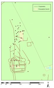 The Viking Great Army and its Legacy: Plotting Settlement Shift Using Metal-Detected Finds 172 The Viking Great Army and its Legacy: Plotting Settlement Shift Using Metal-Detected Finds
