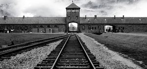 The Holocaust: Its Precursors, Implementation of 'The Final Solution', and Legacy 16 The Holocaust: Its Precursors, Implementation of 'The Final Solution', and Legacy