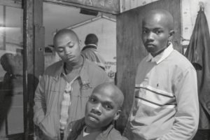The 'Born-Free' Generation 61 The 'Born-Free' Generation