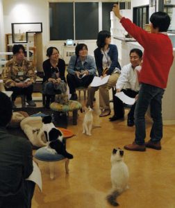Relaxation in Japan's Growing 'Cat Cafes' 17 Relaxation in Japan's Growing 'Cat Cafes'