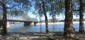 The Divine Riches of the Latin Language