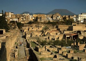 Habitats at Herculaneum and Early Roman Interior Decoration 113 Habitats at Herculaneum and Early Roman Interior Decoration