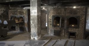 The Holocaust: Its Precursors, Implementation of 'The Final Solution', and Legacy 21 The Holocaust: Its Precursors, Implementation of 'The Final Solution', and Legacy