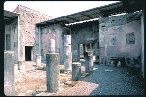 Habitats at Herculaneum and Early Roman Interior Decoration 134 Habitats at Herculaneum and Early Roman Interior Decoration