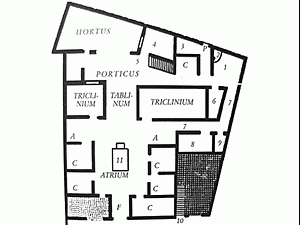 Lifestyles of the Roman Rich and Famous: Houses and Villas at Pompeii 113 Lifestyles of the Roman Rich and Famous: Houses and Villas at Pompeii