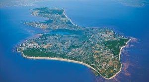 Maximilien Robespierre and the French Revolution: Rise to Revenge 38 Maximilien Robespierre and the French Revolution: Rise to Revenge