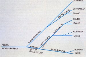 The Indo-Europeans and Historical Linguistics 29 The Indo-Europeans and Historical Linguistics