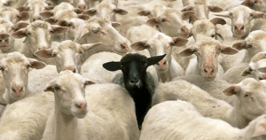 The Invisible Influence of Others