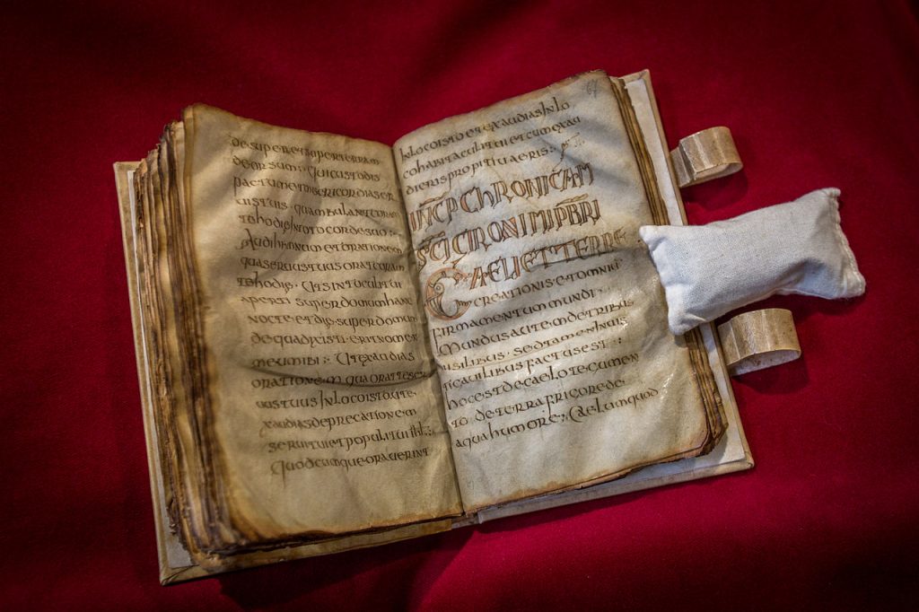 Merovingian Frankish Society: Barbarian Kingship in a Post-Roman World ...