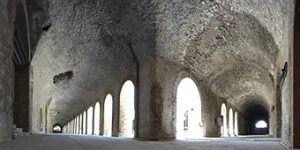 Technology and Revolution in Roman Architecture