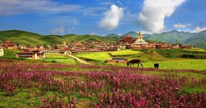 The Legend of The Shambhala Warriors 28 The Legend of The Shambhala Warriors