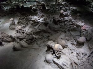Habitats at Herculaneum and Early Roman Interior Decoration 116 Habitats at Herculaneum and Early Roman Interior Decoration