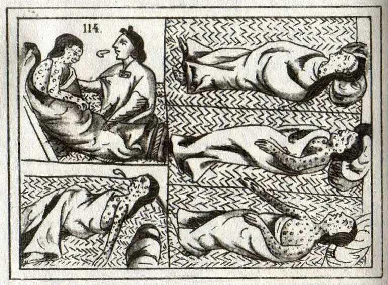 The History of Smallpox from 1600 to 1977