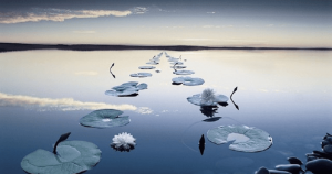 What is Enlightenment Really? 52 What is Enlightenment Really?