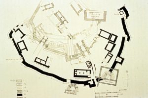 Archaeology: Troy and Heinrich Schliemann 46 Archaeology: Troy and Heinrich Schliemann