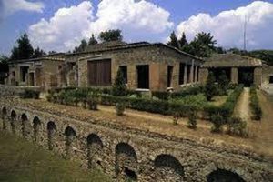 Lifestyles of the Roman Rich and Famous: Houses and Villas at Pompeii 154 Lifestyles of the Roman Rich and Famous: Houses and Villas at Pompeii