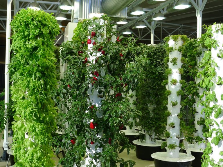verticalfarms01