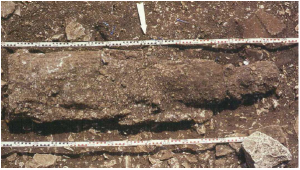 Goddesses in Celtic Religion: Nature and Bounty 91 Female statue found near the temple