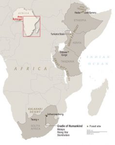 Prehistory: Bipedal Hominids to Making Pottery 34 Prehistory: Bipedal Hominids to Making Pottery