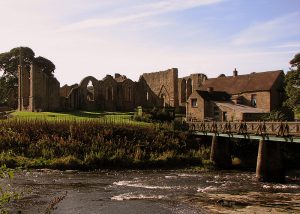 Nothing to Lose: Medieval Castration, Clerical Celibacy, and a Strange Story from Peter of Cornwall’s Book of Revelation 26 Nothing to Lose: Medieval Castration, Clerical Celibacy, and a Strange Story from Peter of Cornwall’s Book of Revelation