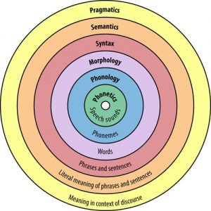 How We Communicate: Language in the Brain, Mouth and the Hands