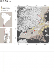 Prehistory: Bipedal Hominids to Making Pottery 36 Prehistory: Bipedal Hominids to Making Pottery