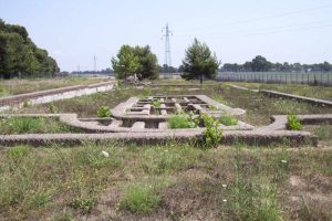 The Rise of Christianity in Ancient Ostia 338 The Rise of Christianity in Ancient Ostia