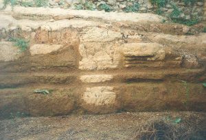 The Mills-Bakeries of Ancient Ostia and the Distributions of Free Grain