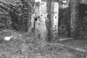 The Mills-Bakeries of Ancient Ostia and the Distributions of Free Grain