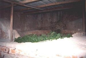 The Mills-Bakeries of Ancient Ostia and the Distributions of Free Grain