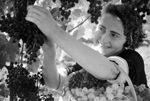 History of the Soviet Union, 1947-1954: Cold War to Xenophobia 146 History of the Soviet Union, 1947-1954: Cold War to Xenophobia