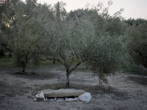A Greek Warrior's Tomb 3,500 Years Old Sheds More Evidence on Early Minoan-Mycenaean Interchange 34 A Greek Warrior's Tomb 3,500 Years Old Sheds More Evidence on Early Minoan-Mycenaean Interchange