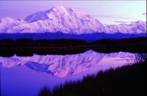 Seward's Folly: Why Russia Gave Up Alaska, America's Gateway to the Arctic 20 Seward's Folly: Why Russia Gave Up Alaska, America's Gateway to the Arctic