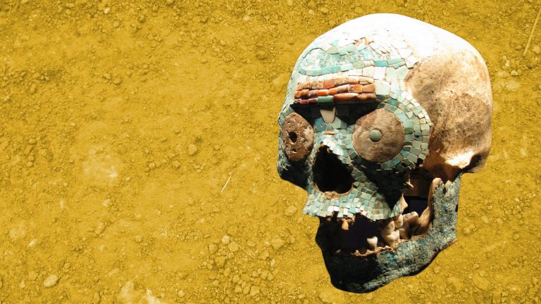 ArchaeologyDisease01