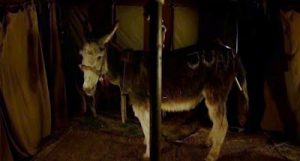 Juan Borgia and the Donkey at Bracciano 7 Bracciano01