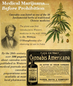 Cannabis Britannica: The Rise and Demise of a Victorian England Wonder-Drug